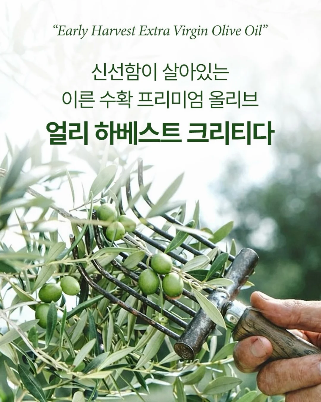 안마기 14