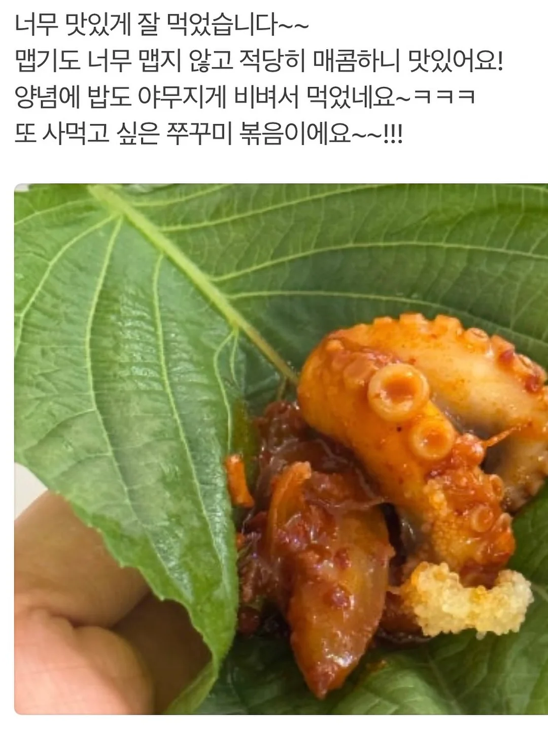 못자국 메꾸미 나도 14