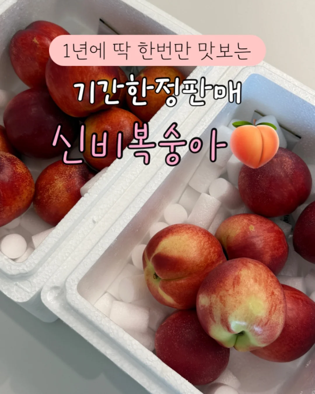 어깨끈 길이 조절 에이프런 14