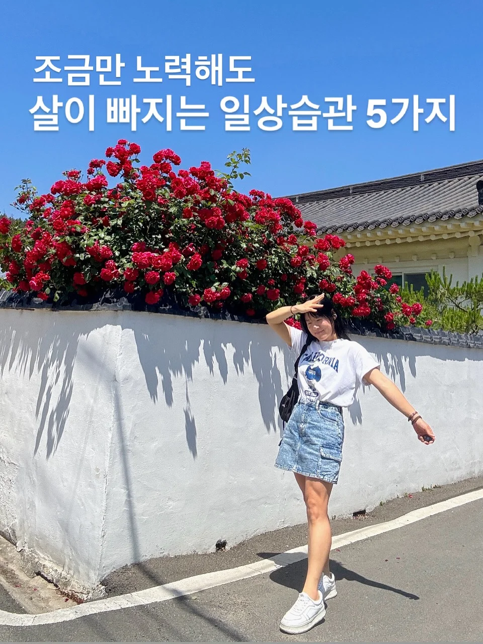 모찌립 1