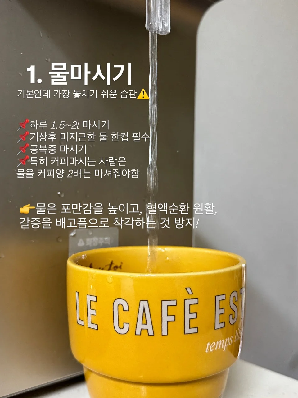 모찌립 2