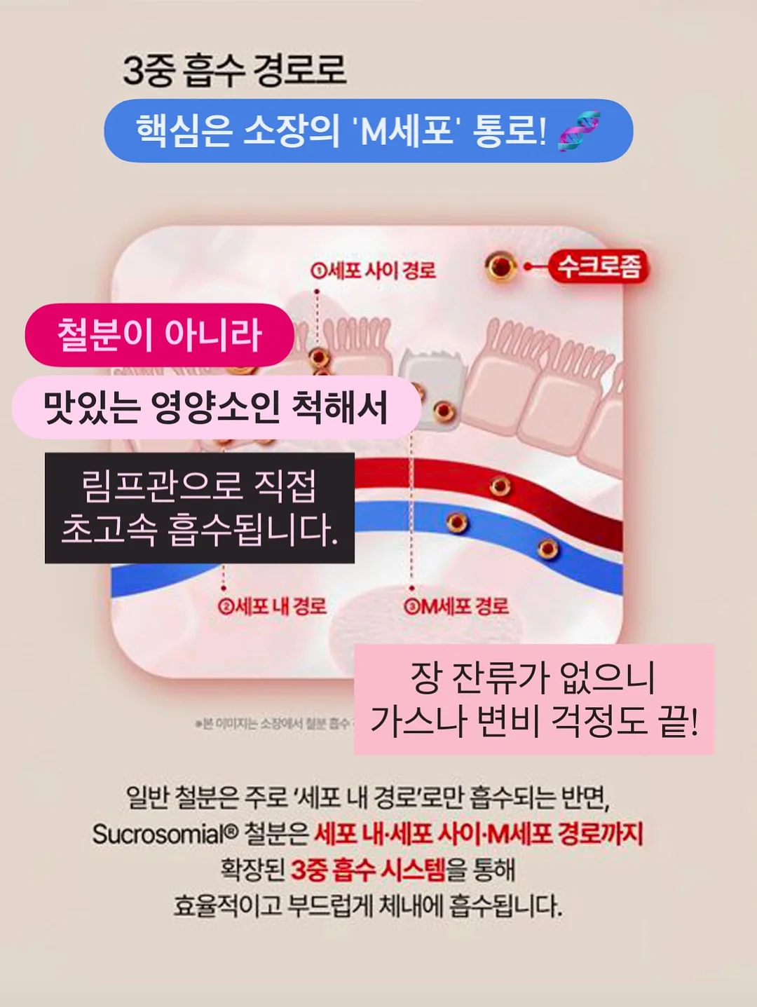 순환젤리 12