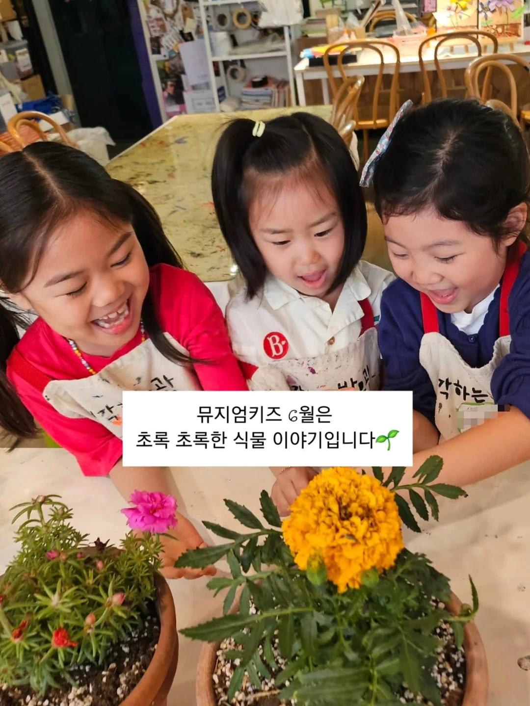 어버이날 카네이션 생화케이크 1