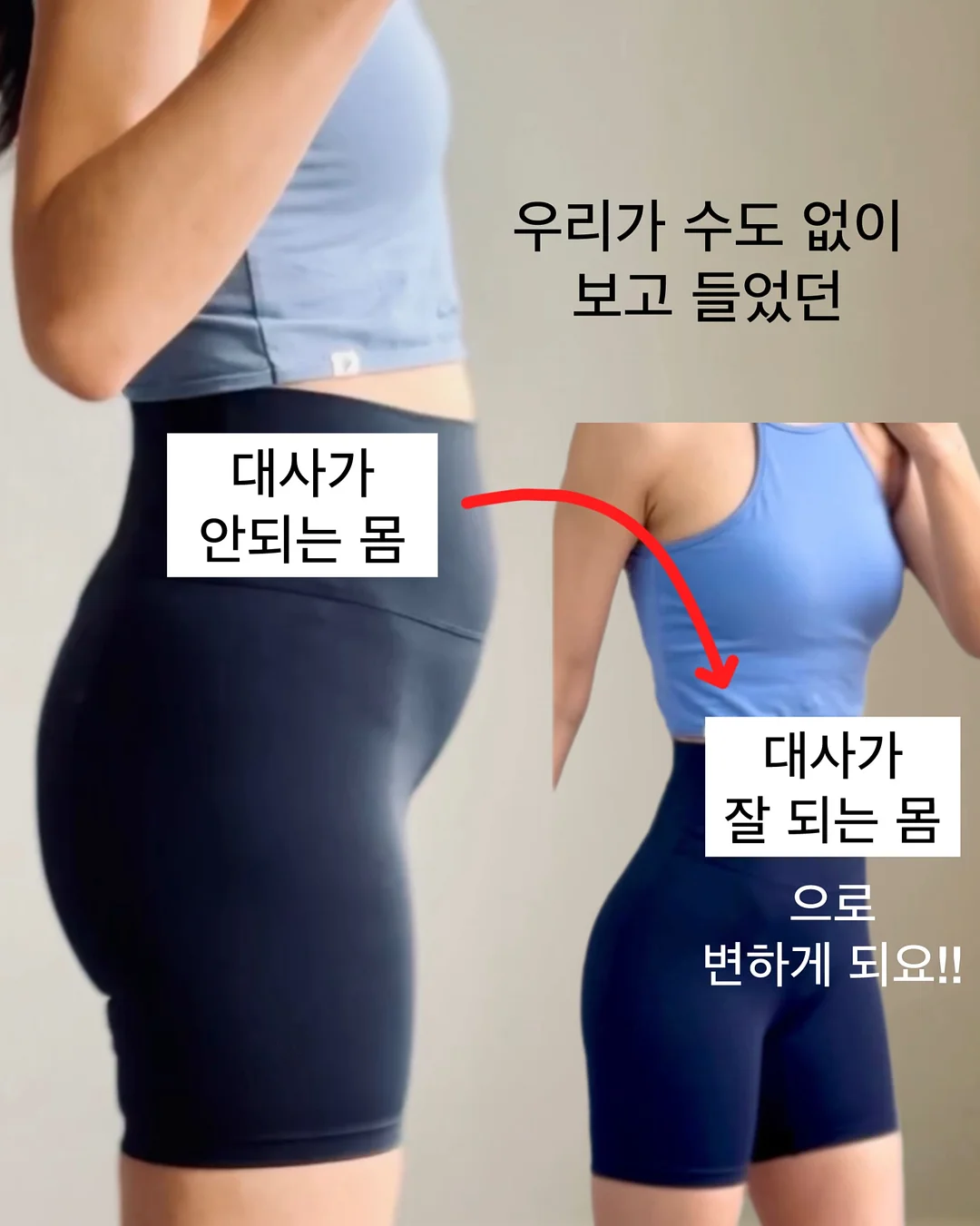 태국망고 남독마이 골드 망고 11