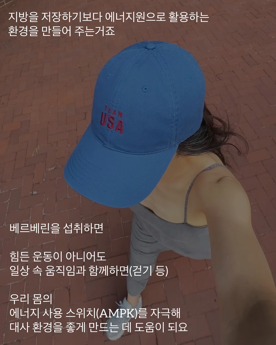 태국망고 남독마이 골드 망고 8
