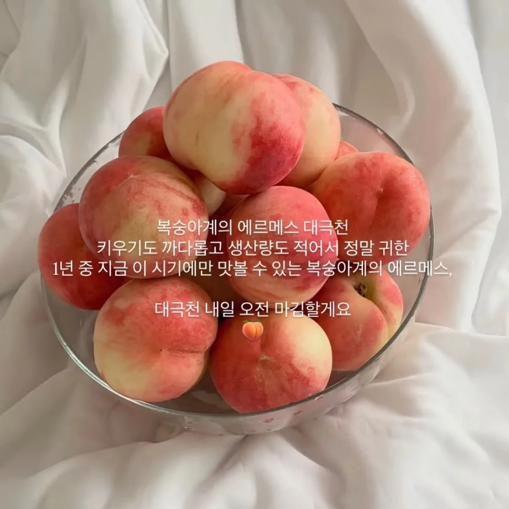 셋업