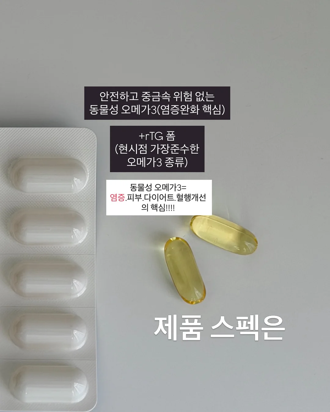 호롱이 포롱이 커플 만화책 5