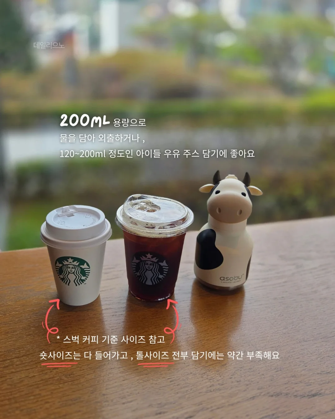 청아랄리아 11
