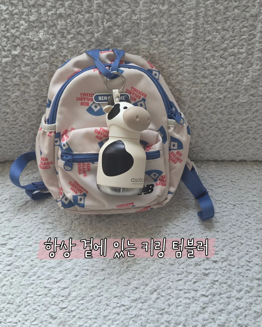 청아랄리아 15