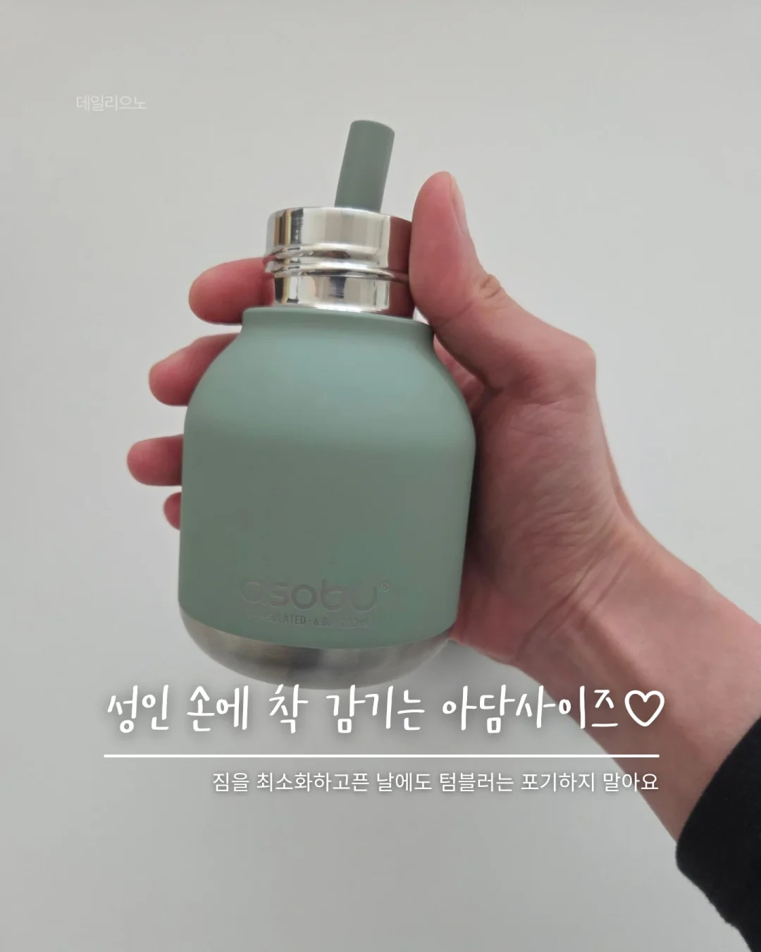 청아랄리아 4