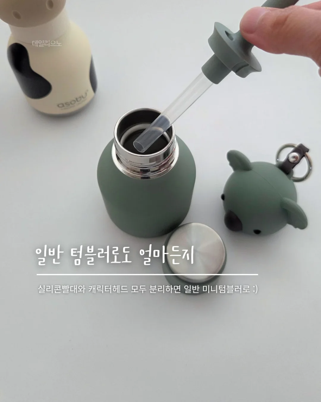 청아랄리아 5
