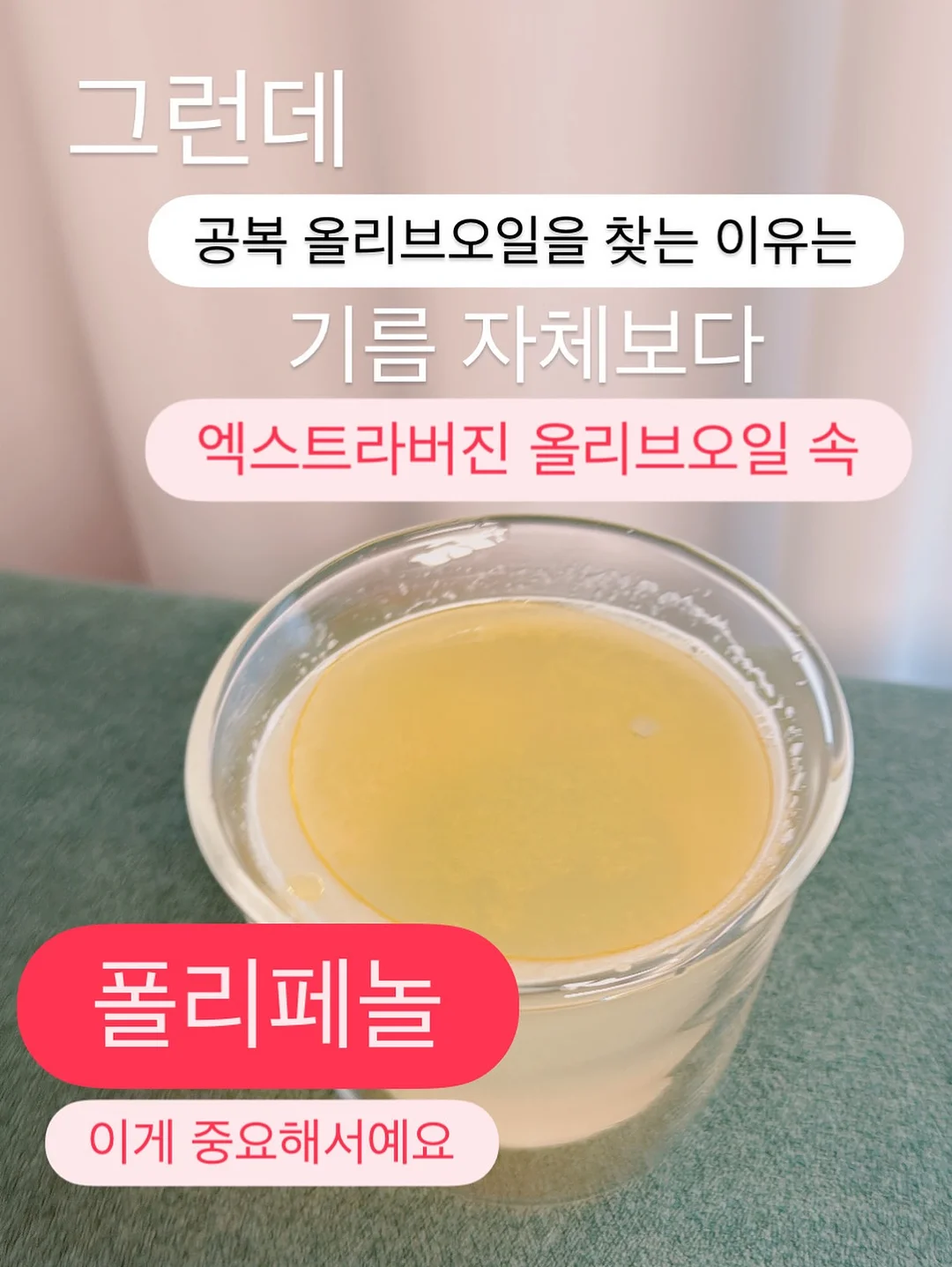 반려동물 젤리슈즈 4