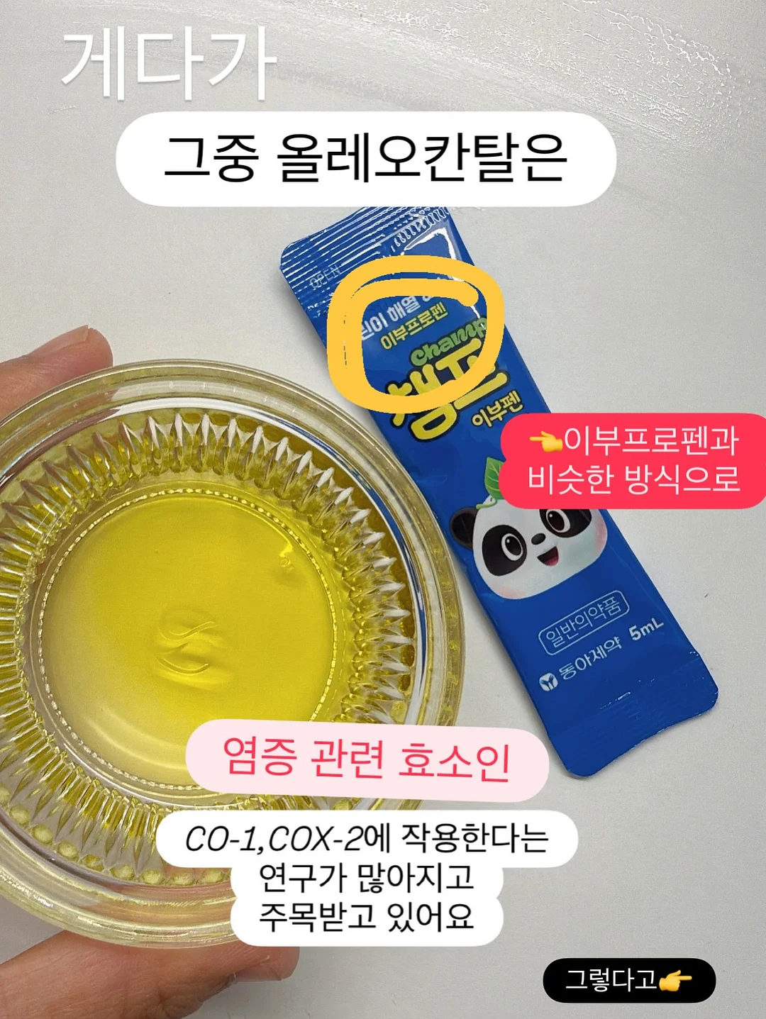 반려동물 젤리슈즈 5