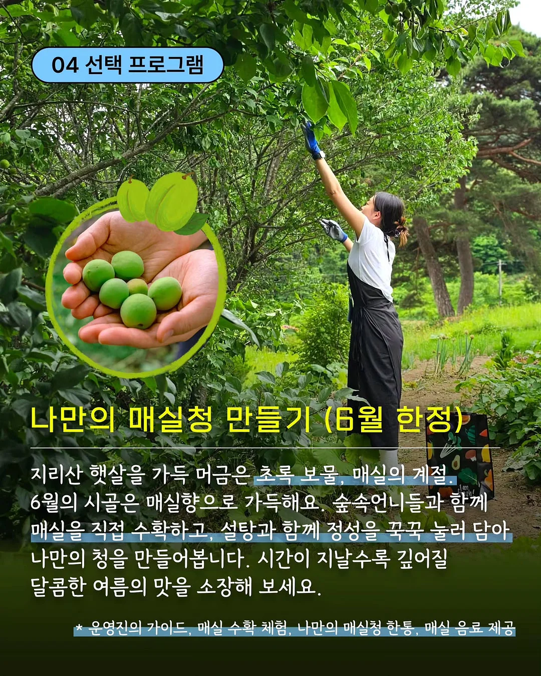 코골이 방지 자석 패치 5