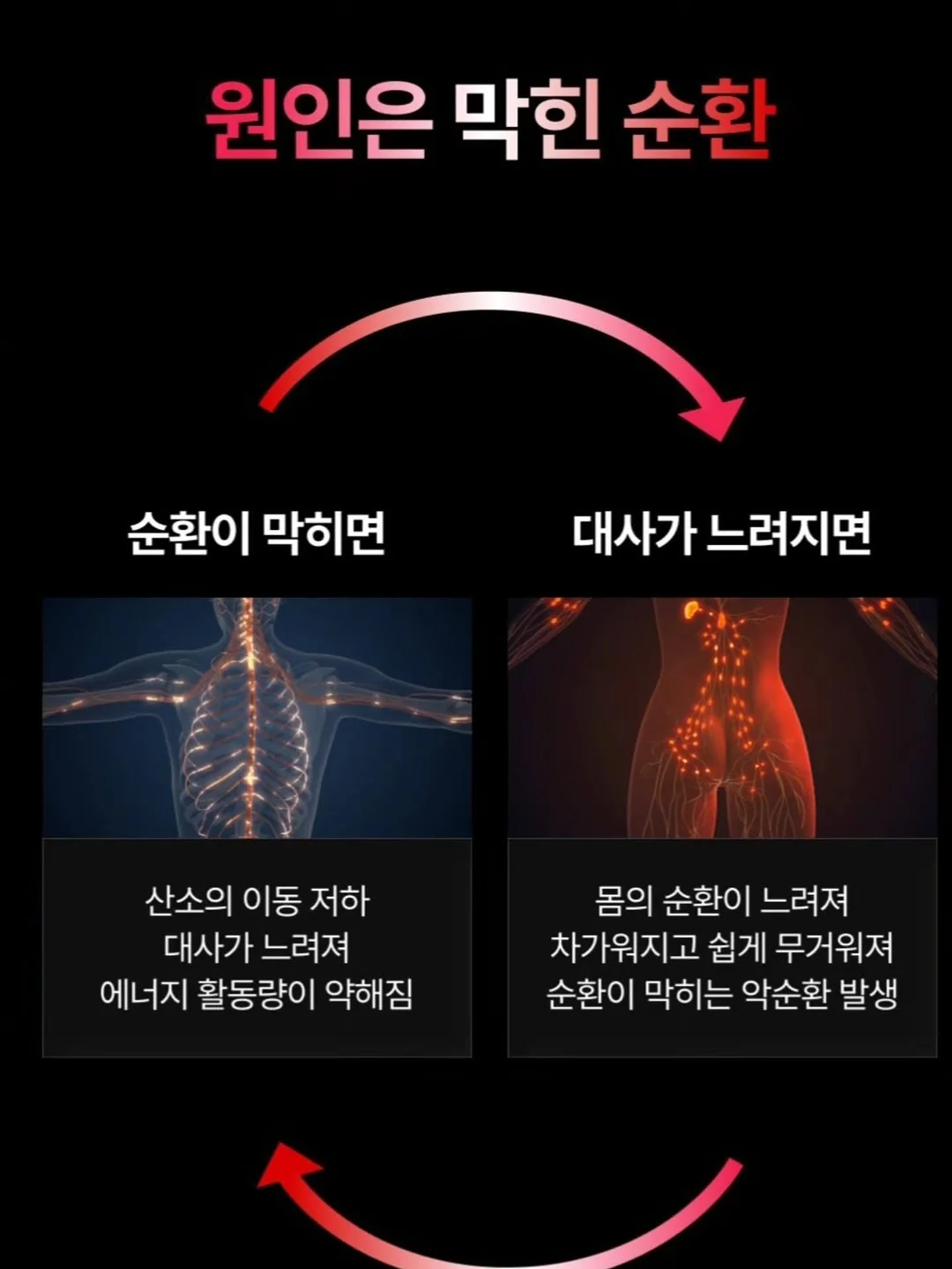 Lee 로고 반팔 10