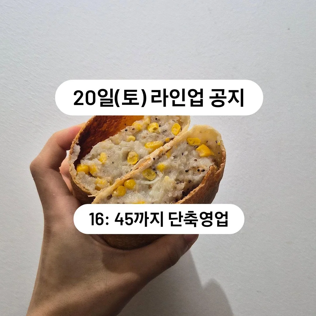 진동 클렌저
