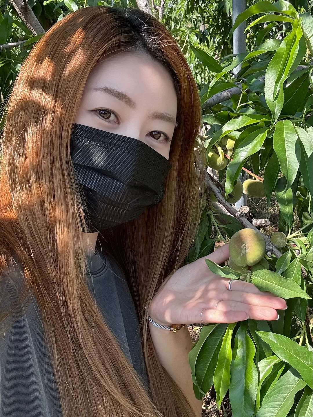 메밀베개 1
