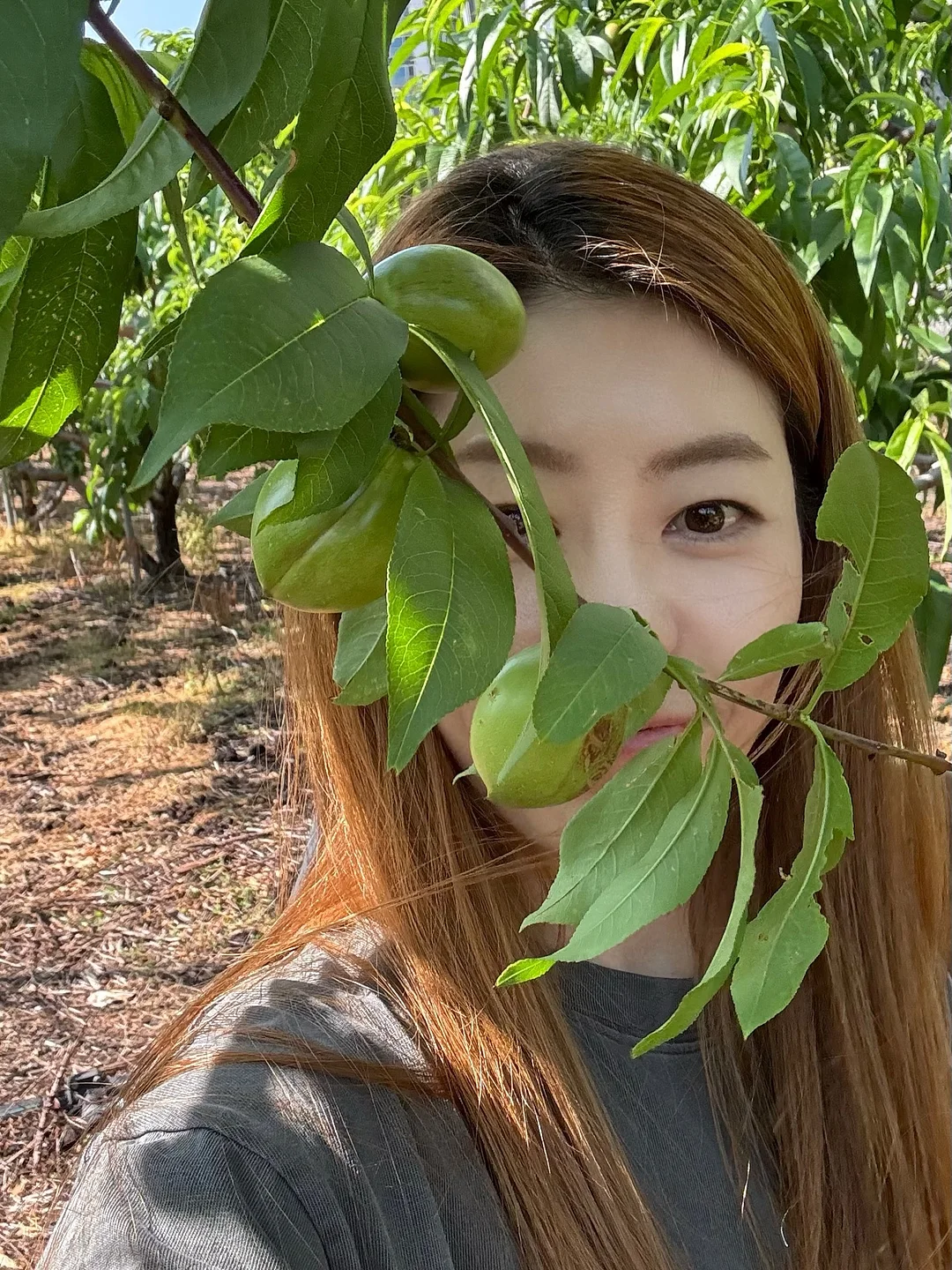 메밀베개 2