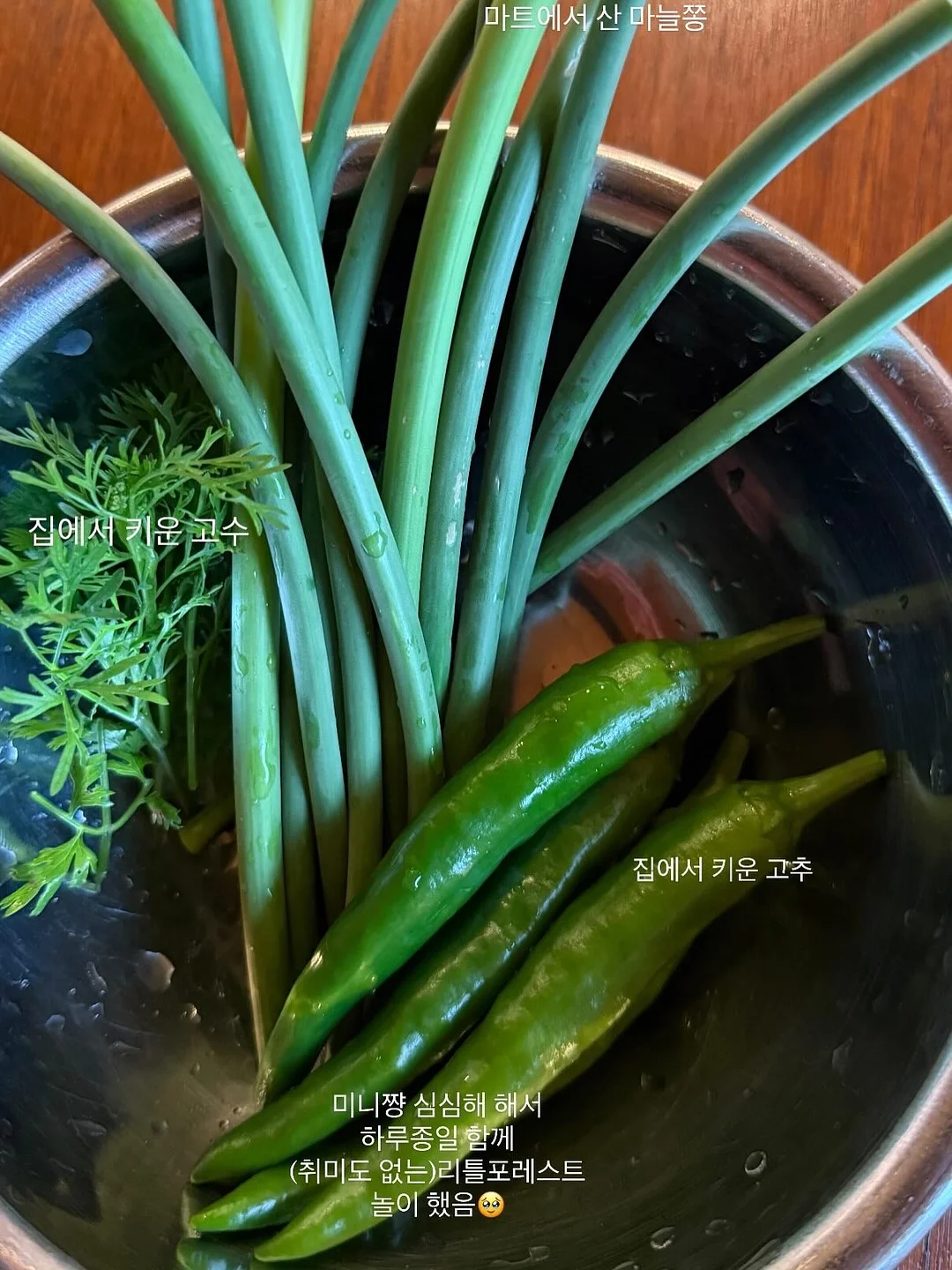 실버헤일리 실버 링귀걸이 3