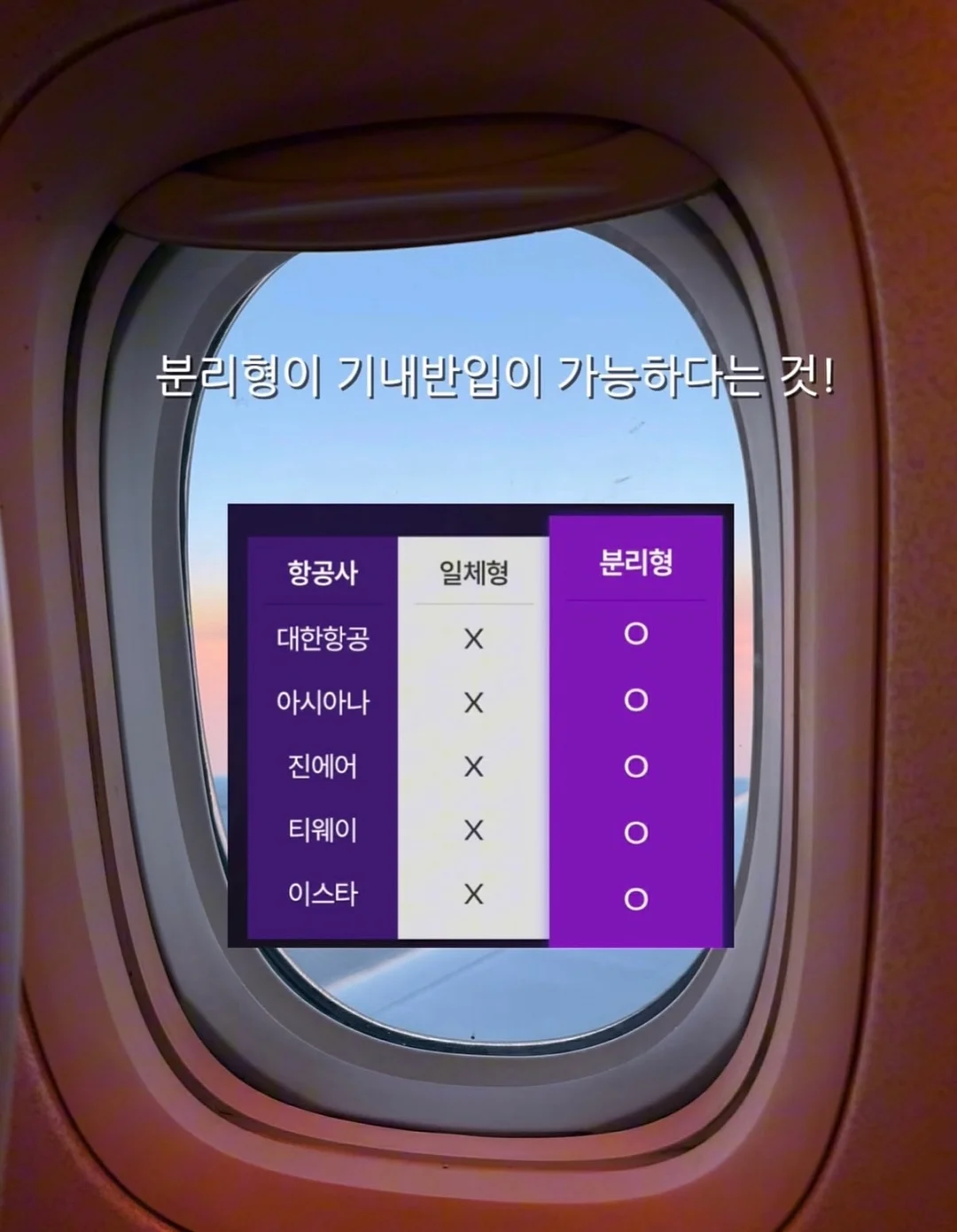 로다제이(KIDS) 제품 5