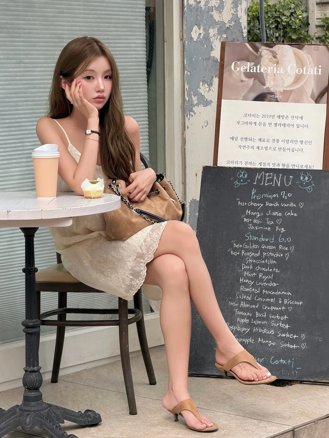 권투 강아지 5
