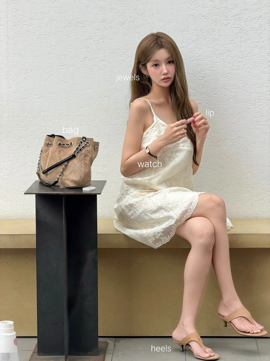 권투 강아지 7