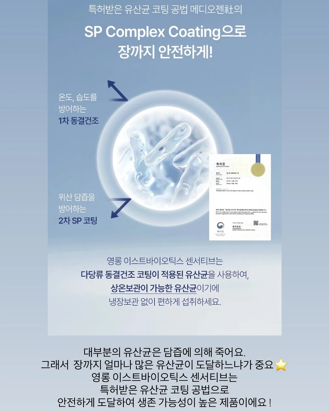 어른의 말하기 11