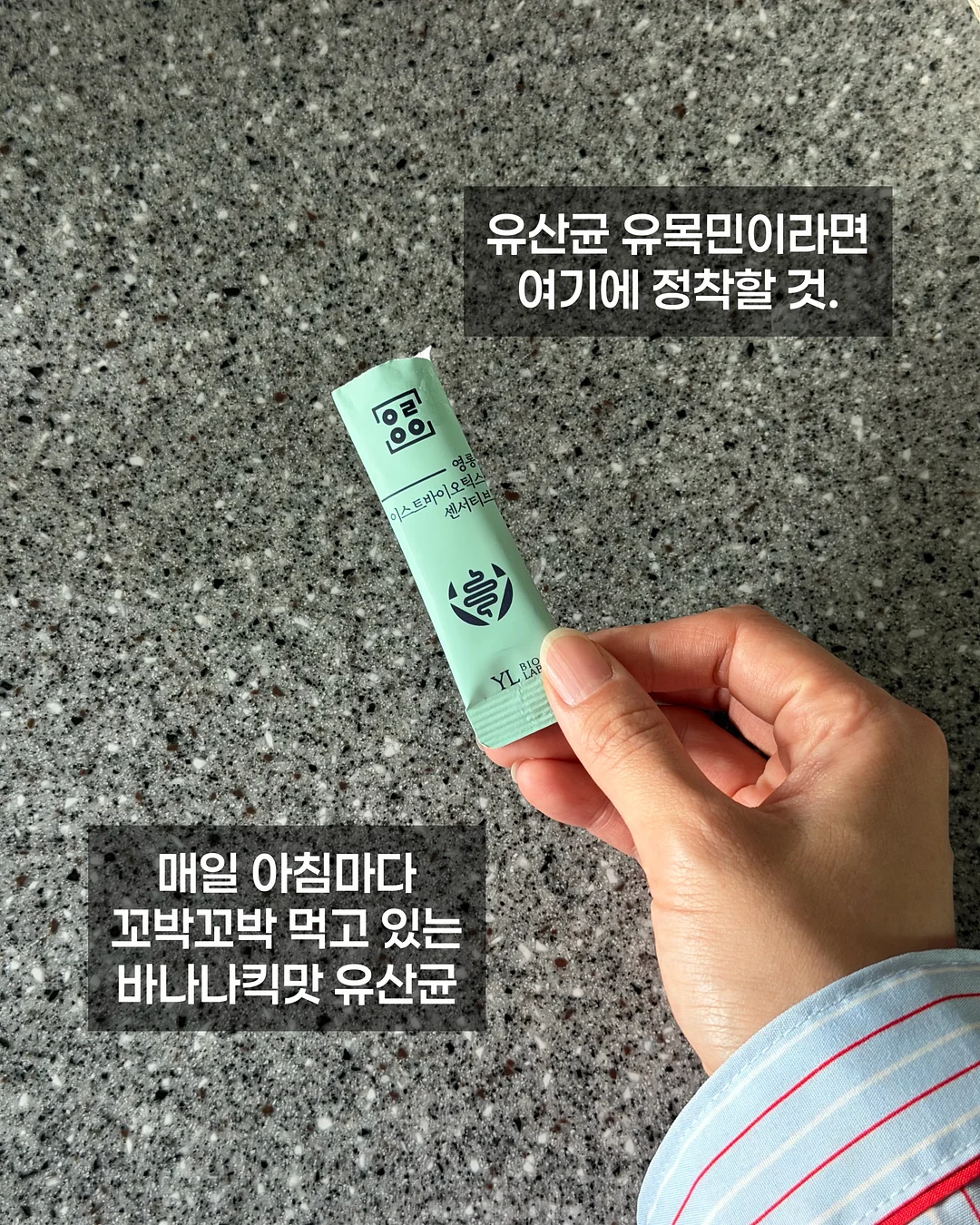 어른의 말하기 4