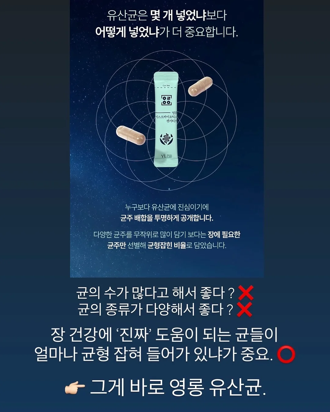 어른의 말하기 5