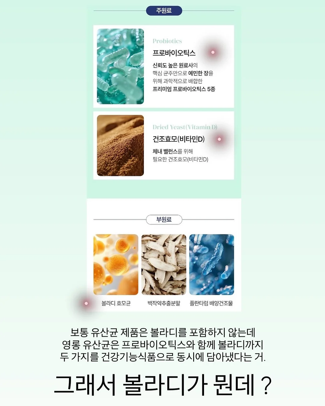 어른의 말하기 6