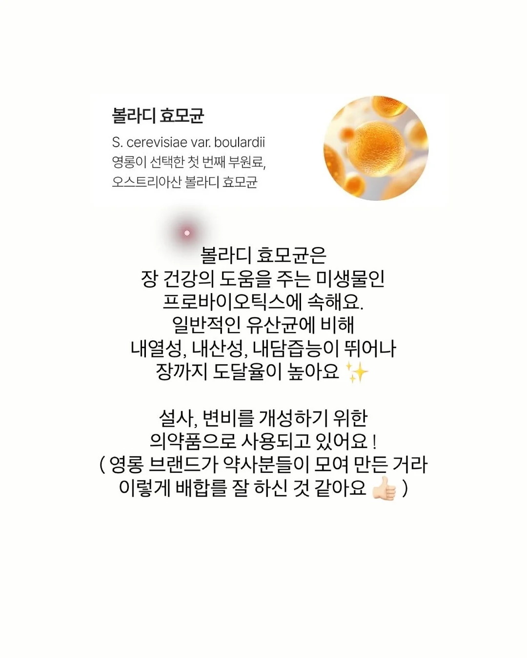 어른의 말하기 7