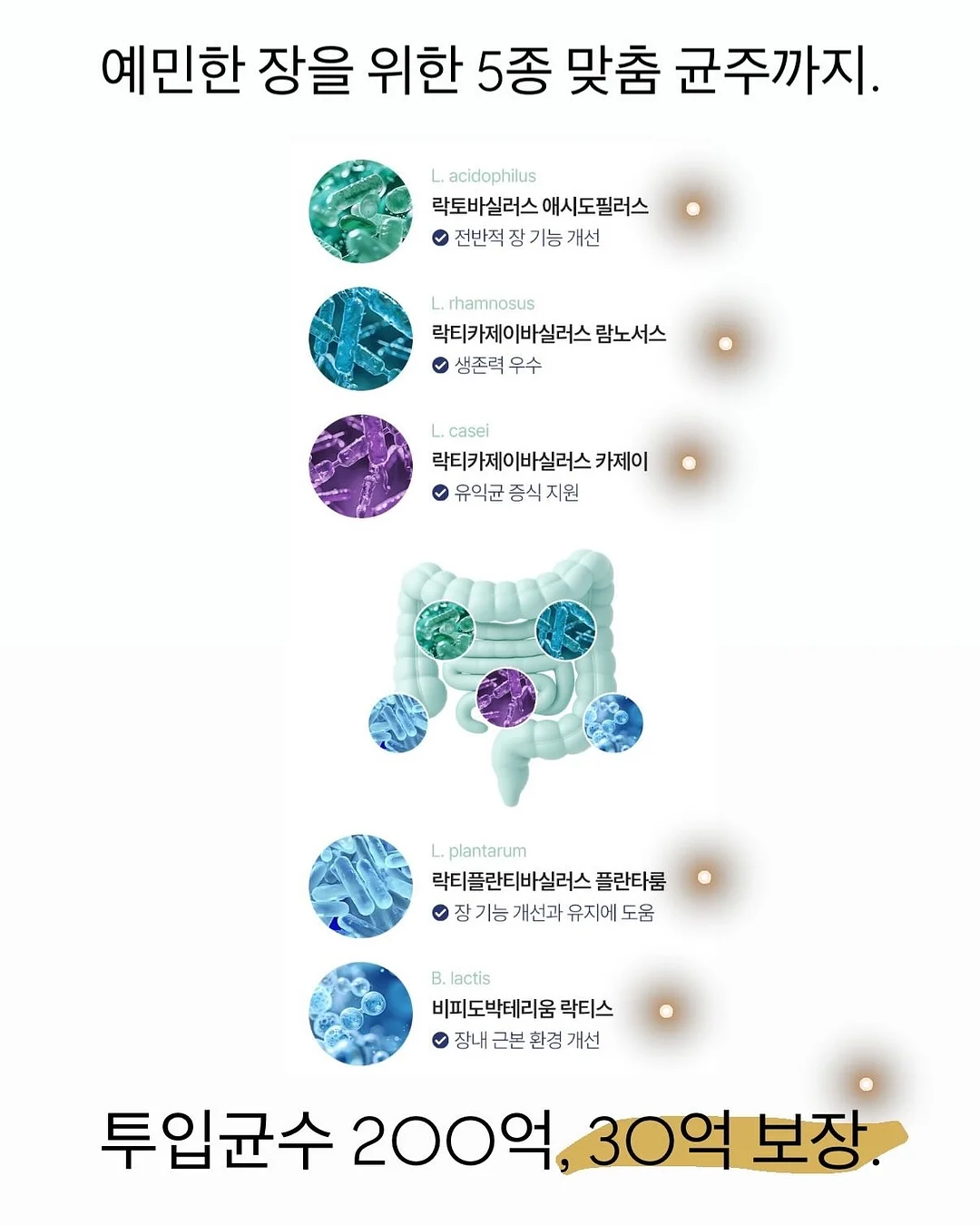 어른의 말하기 8
