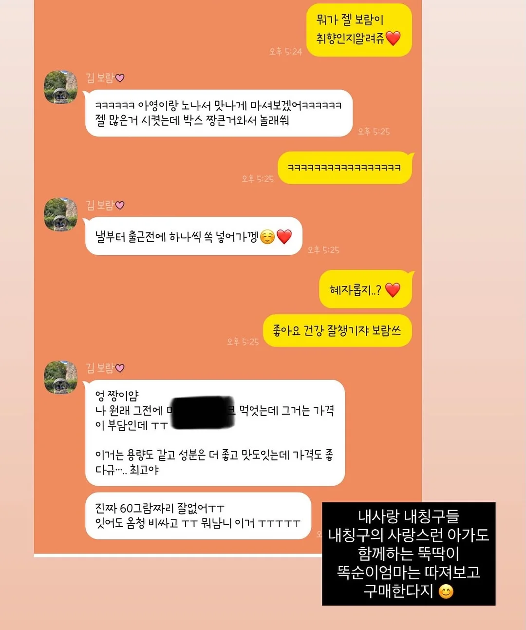 마이 페이버릿 누보 개비스돌하우스 케이크 1호 9