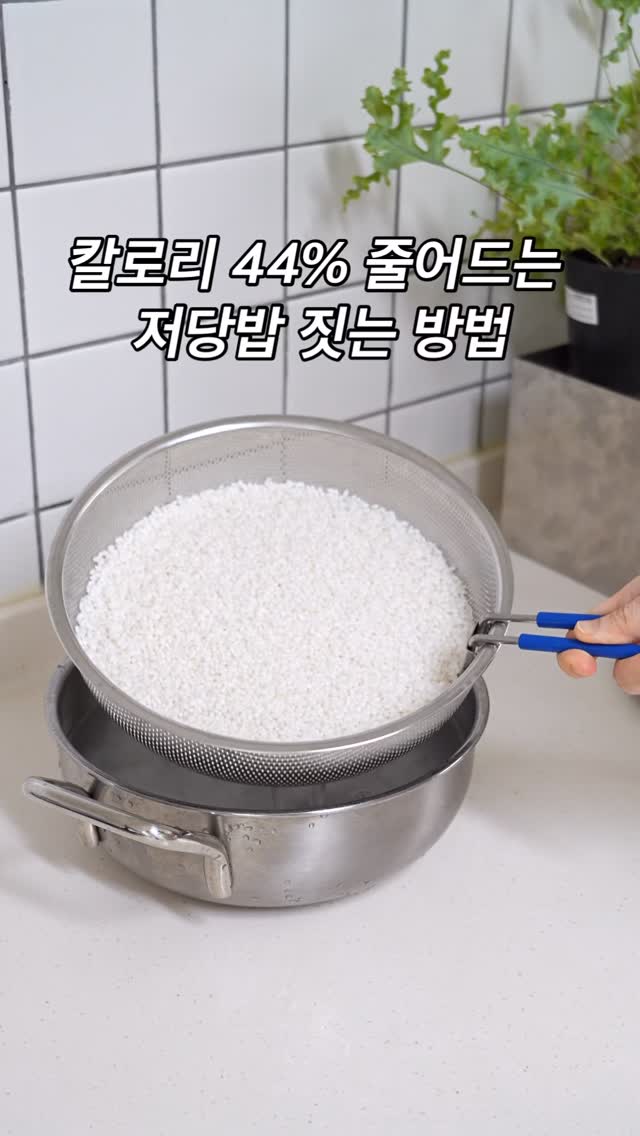 리락쿠마 모노크롬 시리즈