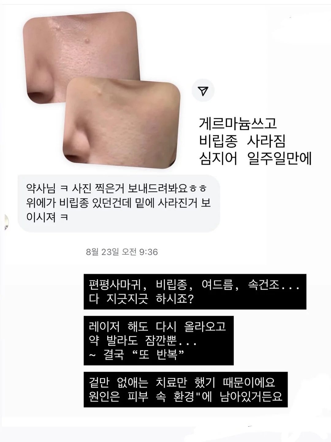 풀블랭크 코모도 미니웨건 9
