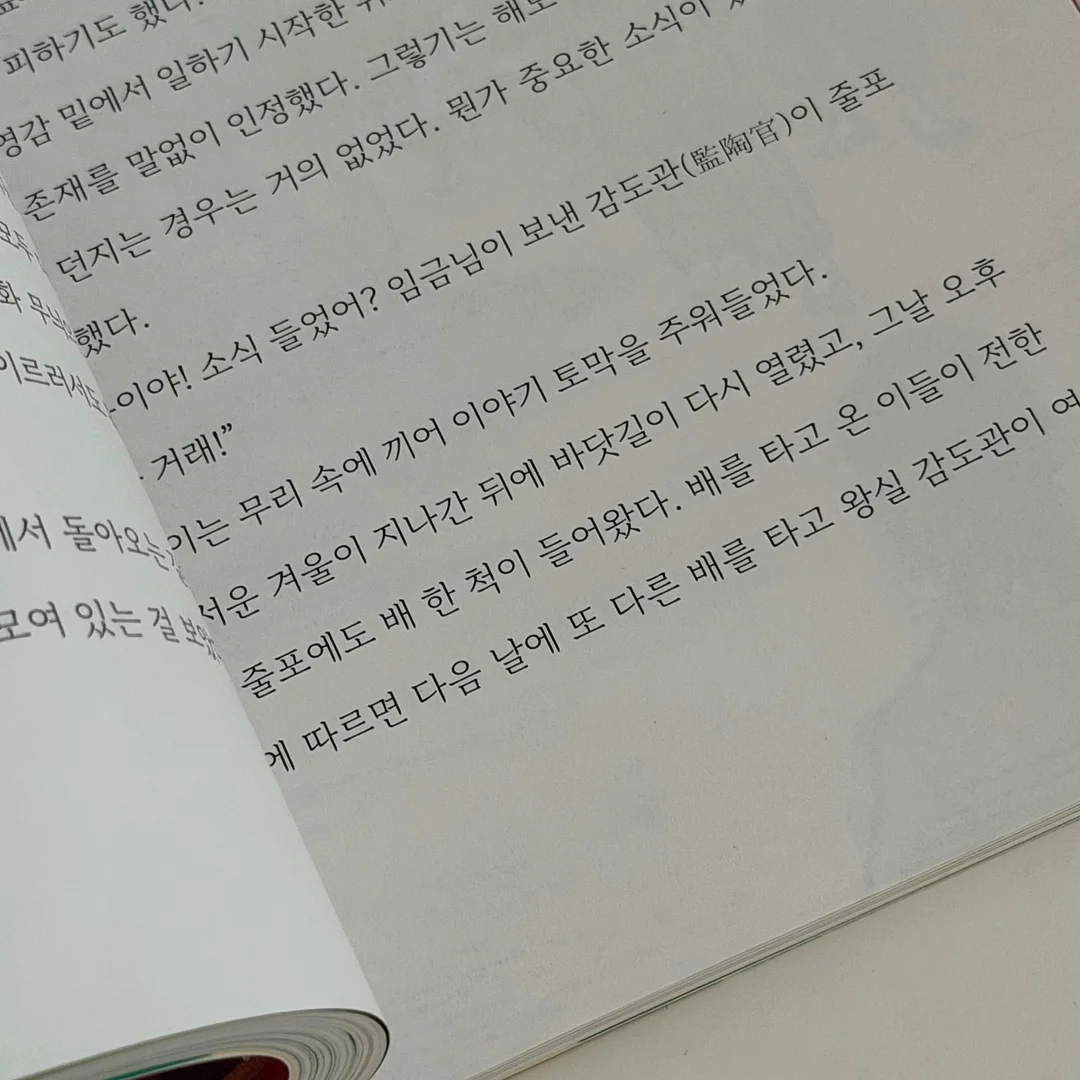 아이언츄 철분제 13