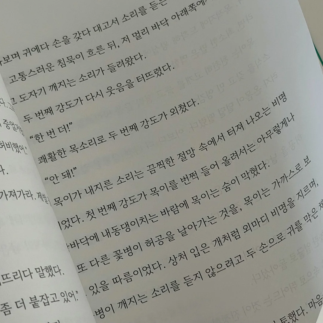 아이언츄 철분제 17