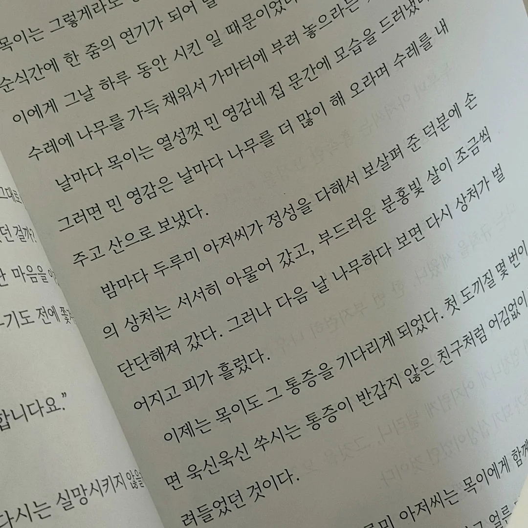 아이언츄 철분제 9