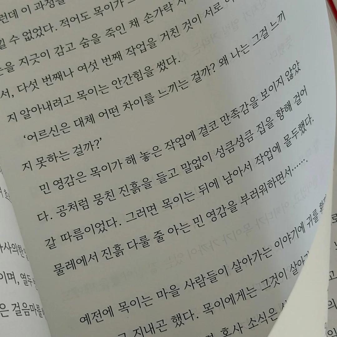 아이언츄 철분제 10