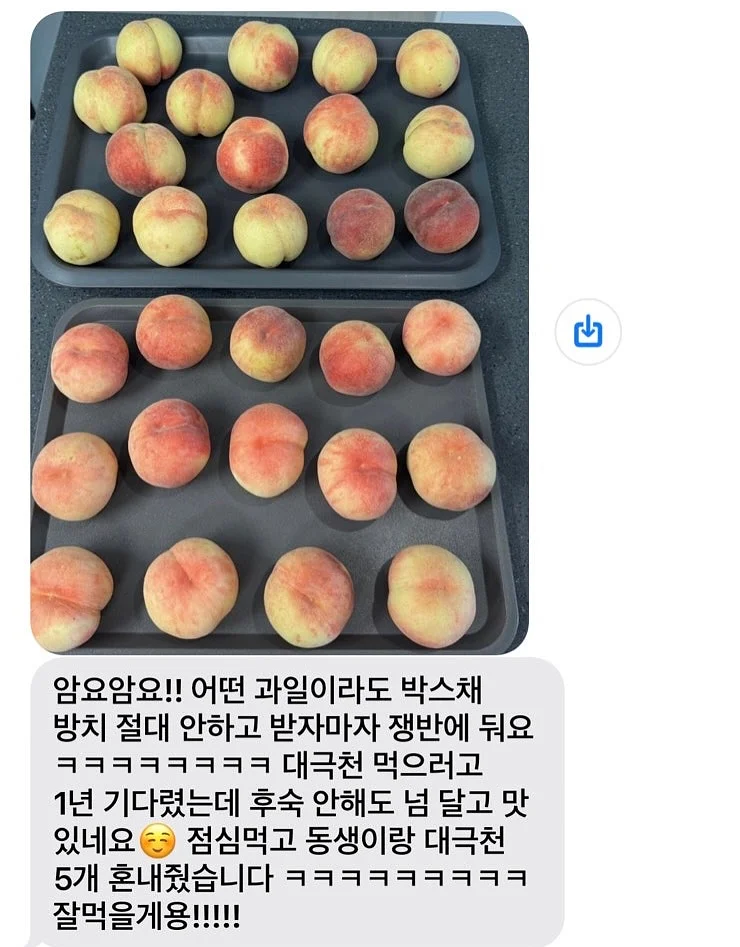 안트미미 듀라론 구름 쿠션가드+보넷 3