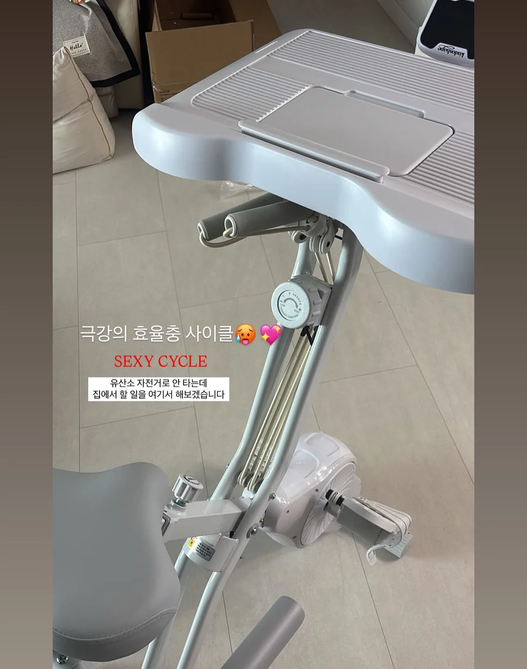 헤스 탈색모 버전 12