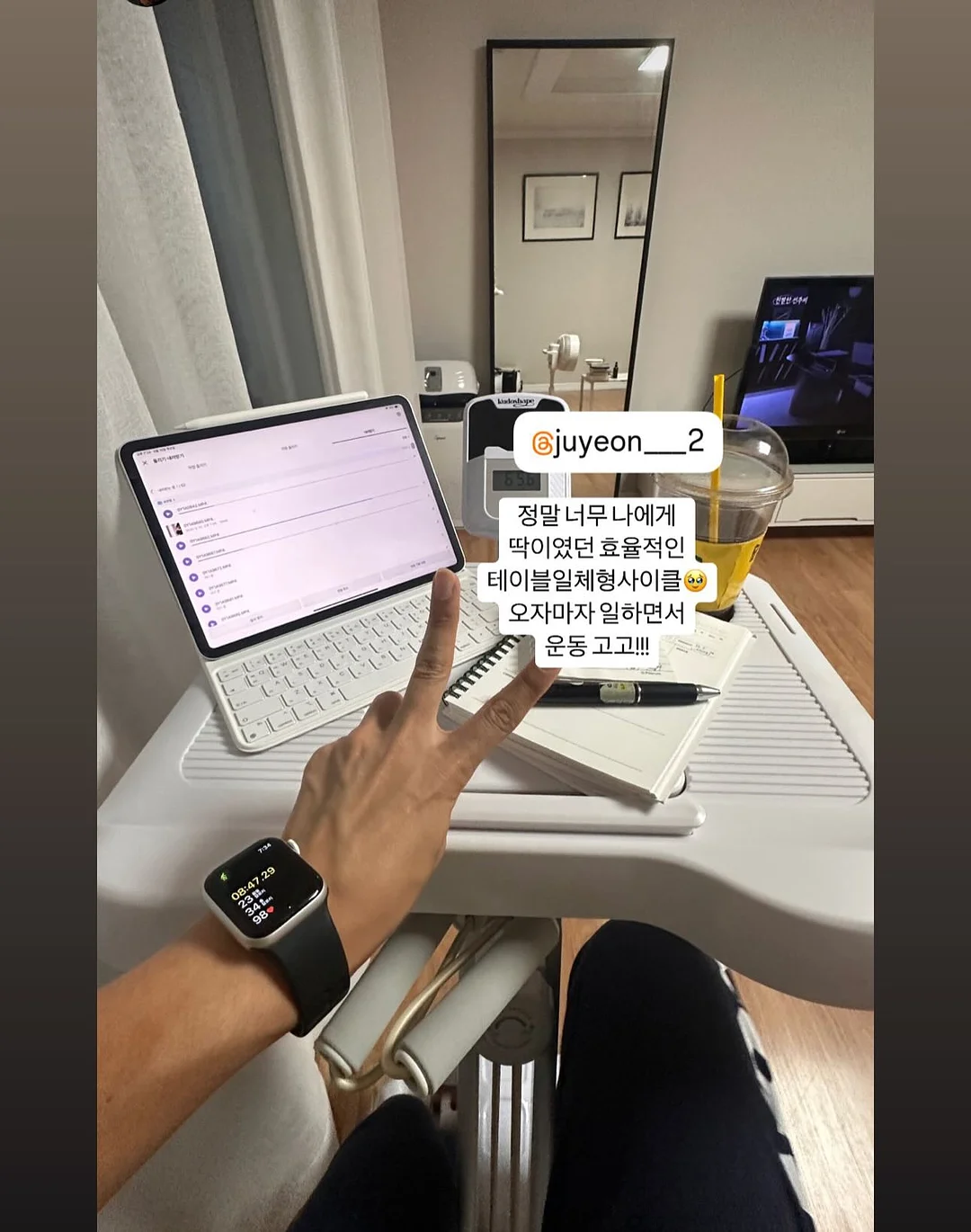 헤스 탈색모 버전 6
