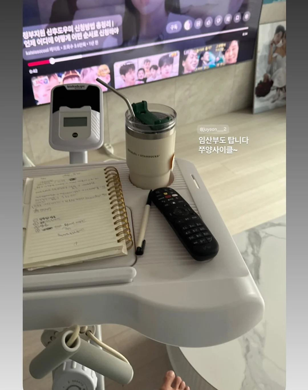 헤스 탈색모 버전 8