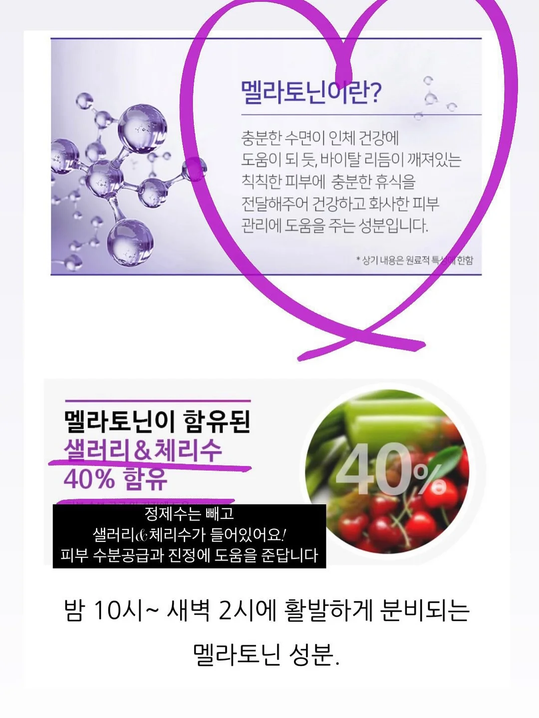 비엔나 스냅 촬영 7