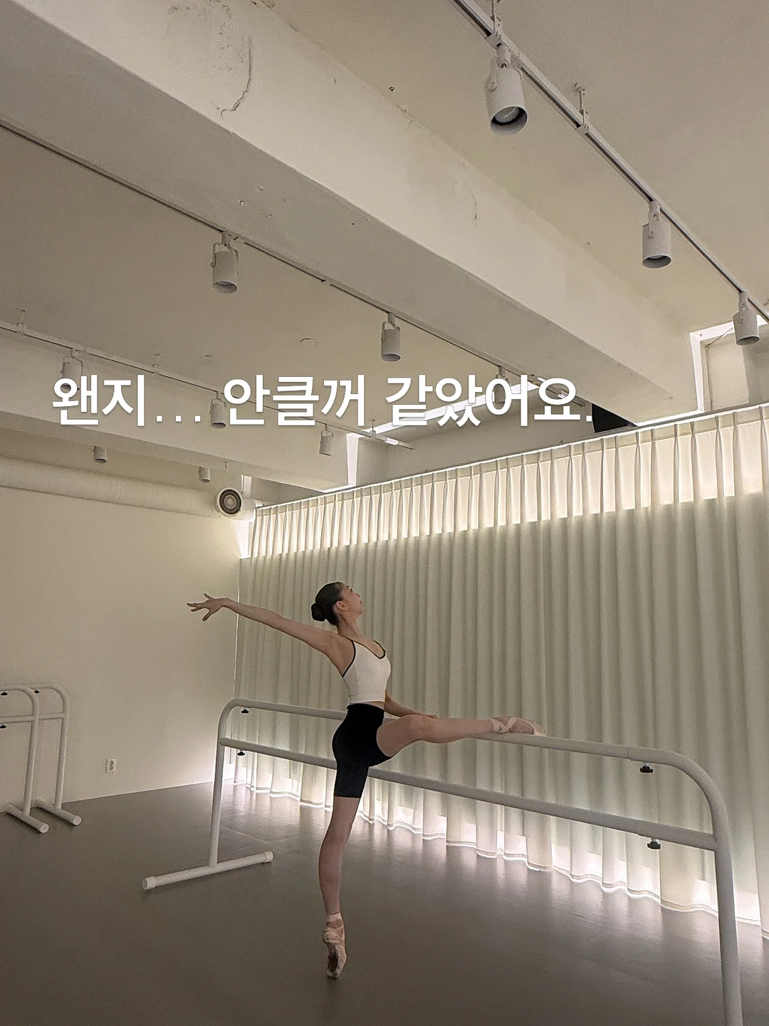백설기 1호 1