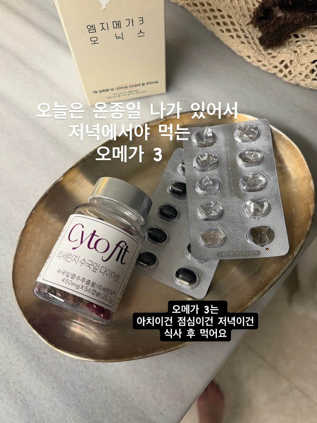 백설기 1호 11