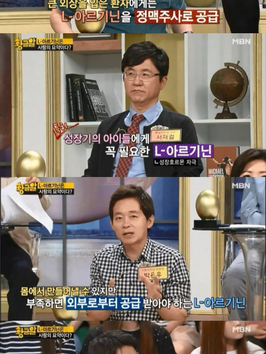 올리브나무 11