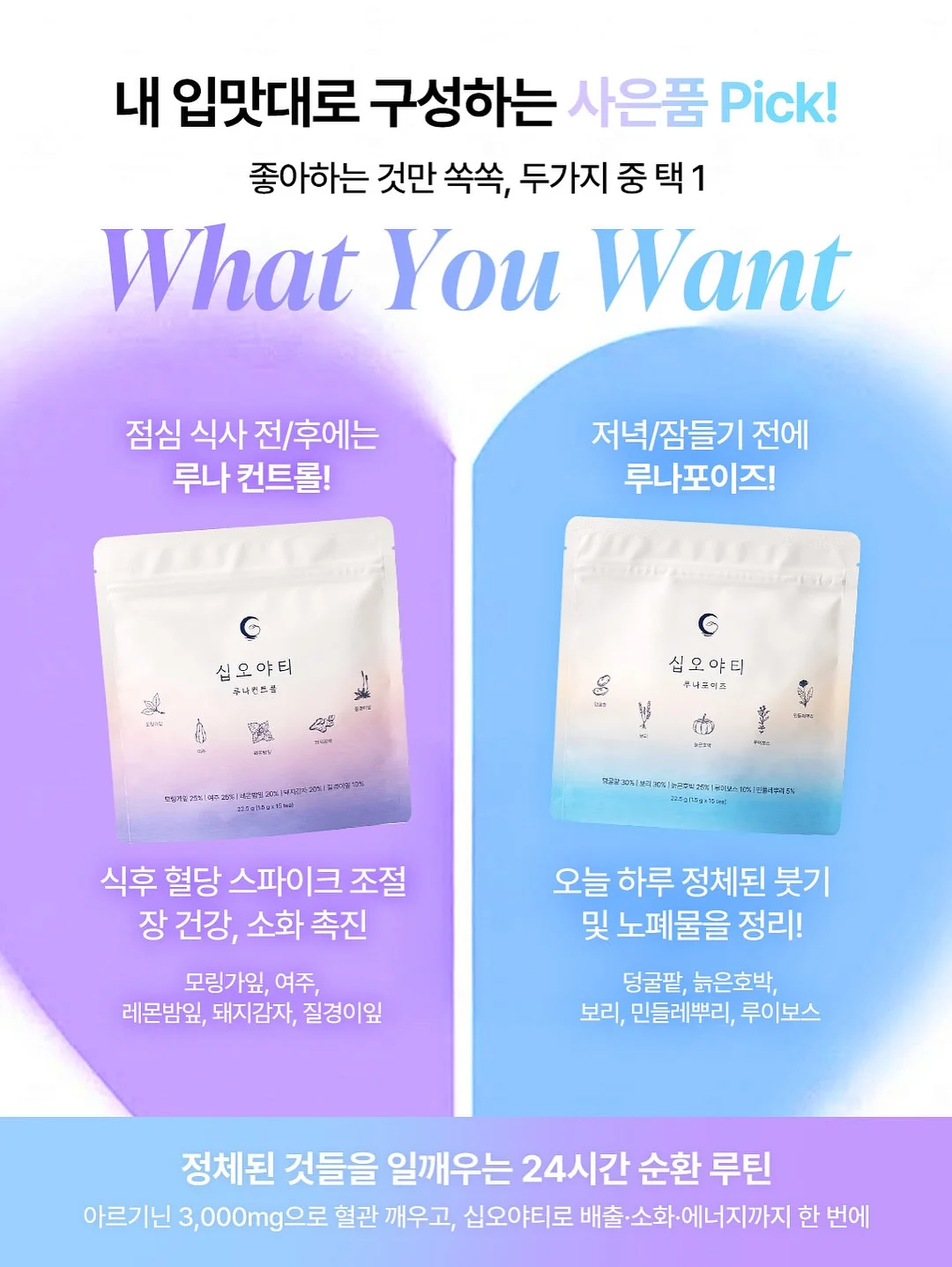 올리브나무 15