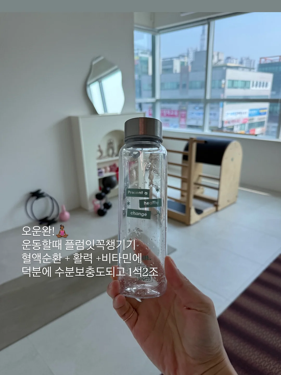 올리브나무 9