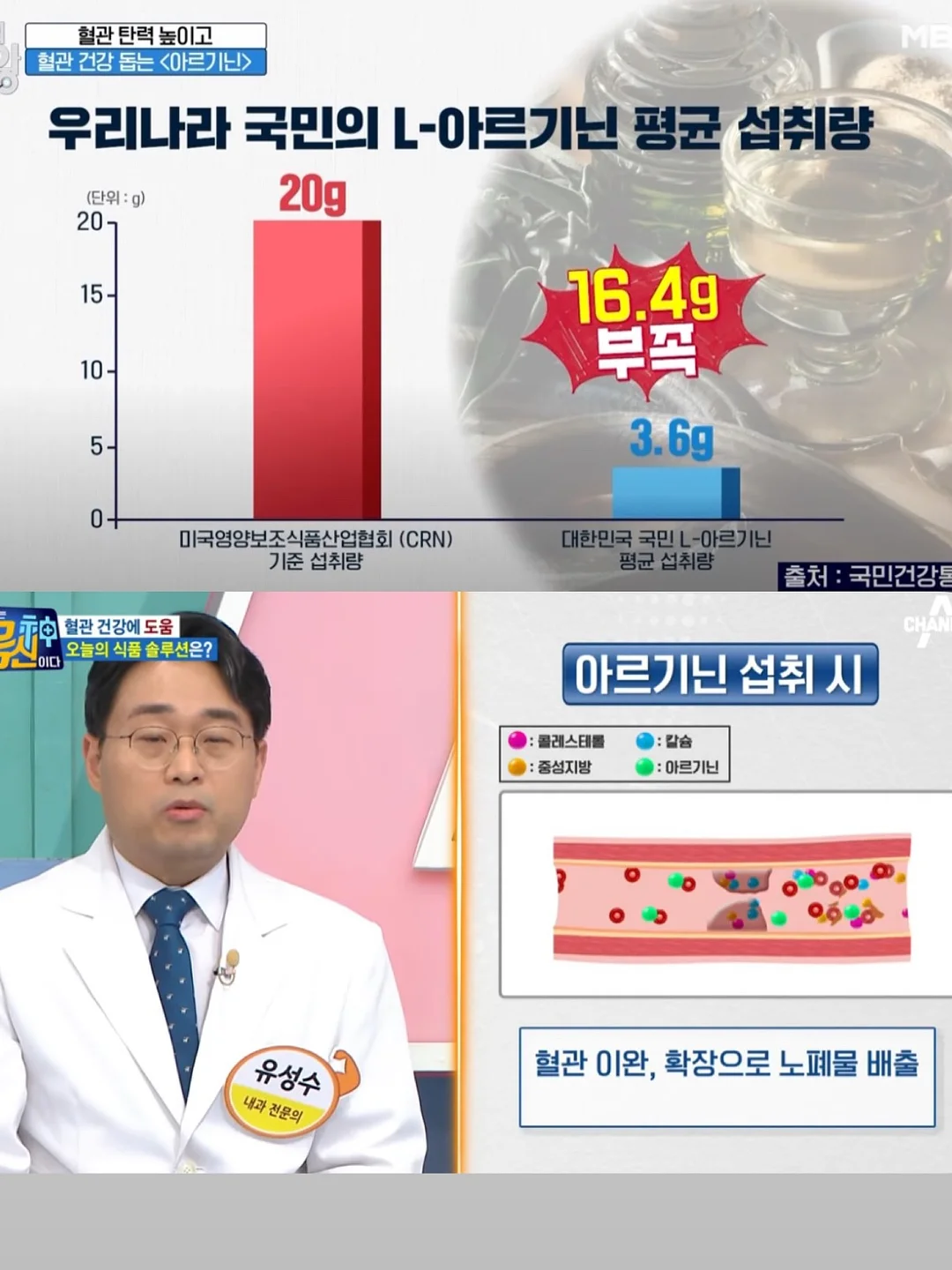 올리브나무 10